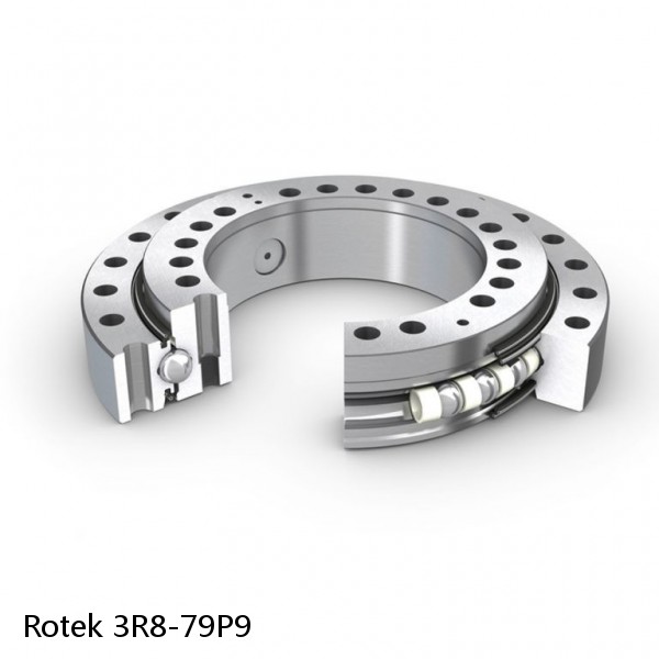 3R8-79P9 Rotek Slewing Ring Bearings