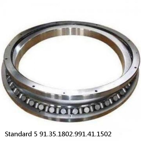 91.35.1802.991.41.1502 Standard 5 Slewing Ring Bearings