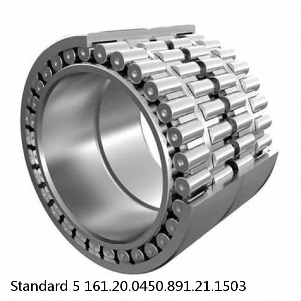161.20.0450.891.21.1503 Standard 5 Slewing Ring Bearings