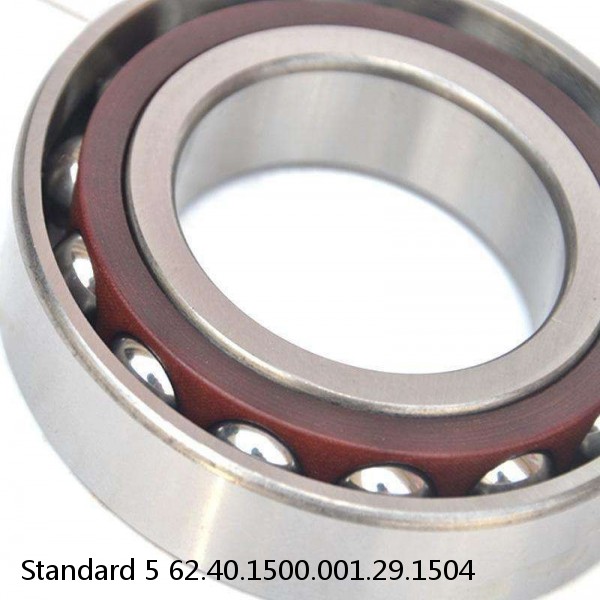 62.40.1500.001.29.1504 Standard 5 Slewing Ring Bearings