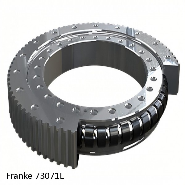 73071L Franke Slewing Ring Bearings #1 small image