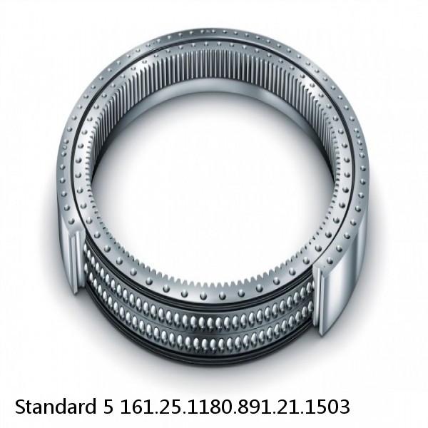 161.25.1180.891.21.1503 Standard 5 Slewing Ring Bearings #1 image