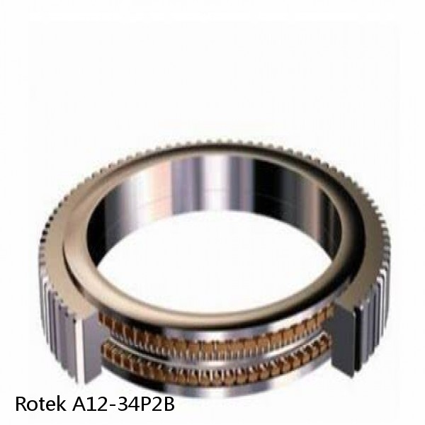 A12-34P2B Rotek Slewing Ring Bearings #1 image