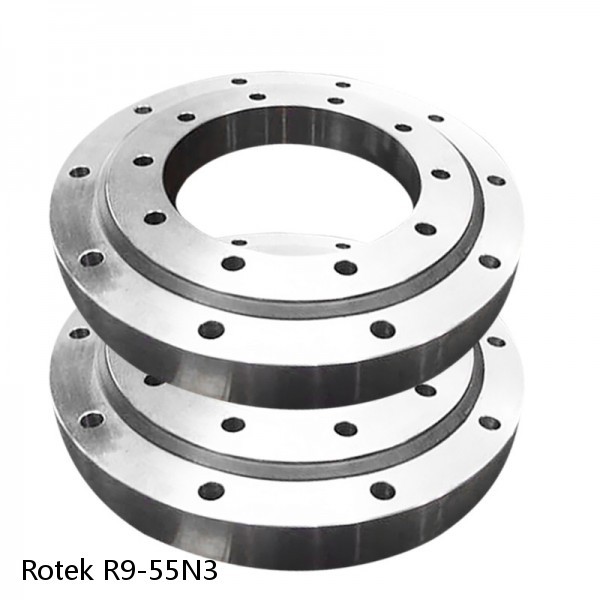 R9-55N3 Rotek Slewing Ring Bearings #1 image