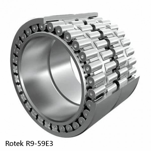 R9-59E3 Rotek Slewing Ring Bearings #1 image
