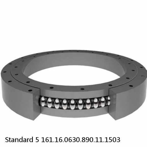 161.16.0630.890.11.1503 Standard 5 Slewing Ring Bearings #1 image