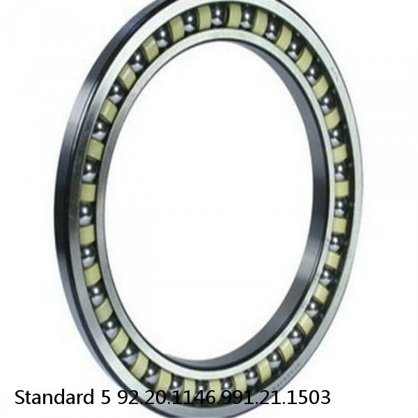 92.20.1146.991.21.1503 Standard 5 Slewing Ring Bearings #1 image