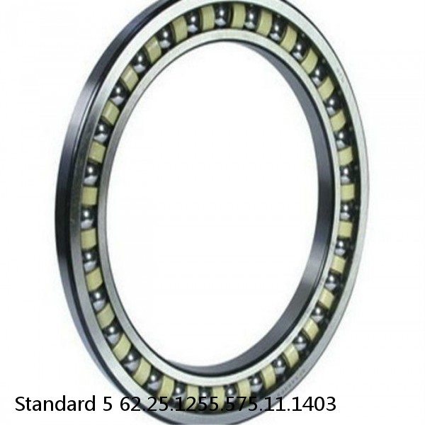62.25.1255.575.11.1403 Standard 5 Slewing Ring Bearings #1 image