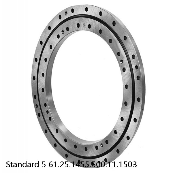 61.25.1455.500.11.1503 Standard 5 Slewing Ring Bearings #1 image