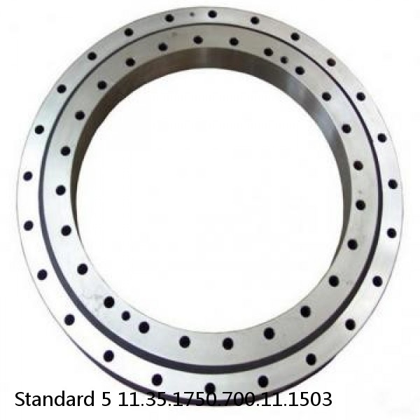 11.35.1750.700.11.1503 Standard 5 Slewing Ring Bearings #1 image