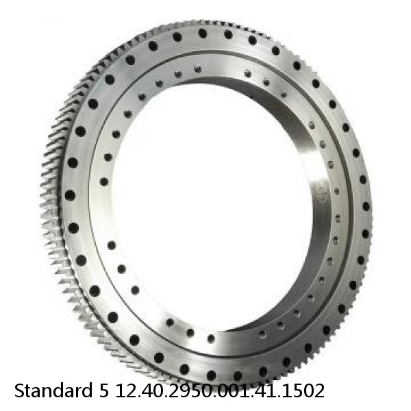 12.40.2950.001.41.1502 Standard 5 Slewing Ring Bearings #1 image