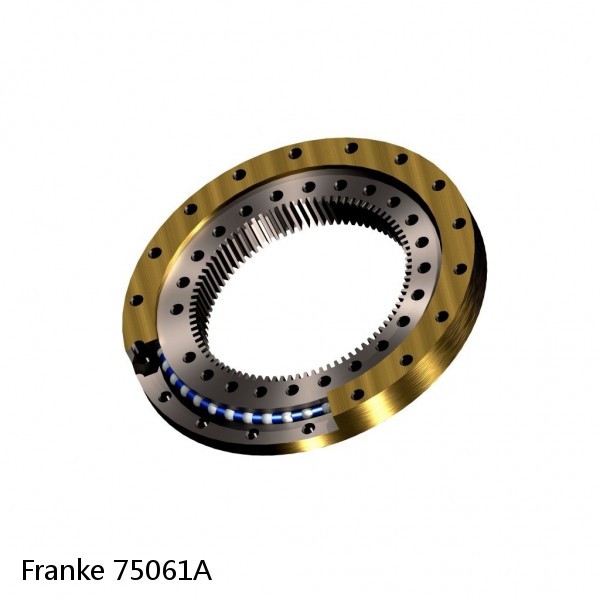 75061A Franke Slewing Ring Bearings #1 image